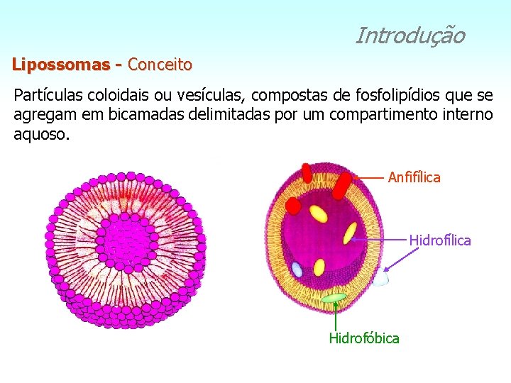 Introdução Lipossomas - Conceito Partículas coloidais ou vesículas, compostas de fosfolipídios que se agregam