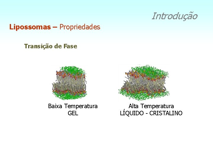 Introdução Lipossomas – Propriedades Transição de Fase Baixa Temperatura GEL Alta Temperatura LÍQUIDO -