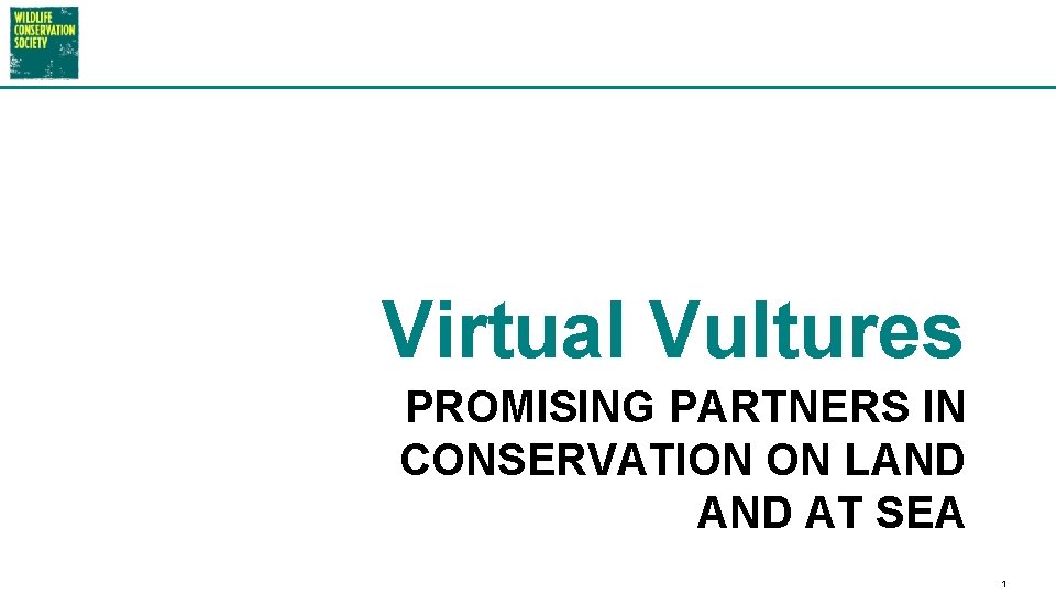 Virtual Vultures PROMISING PARTNERS IN CONSERVATION ON LAND AT SEA 1 