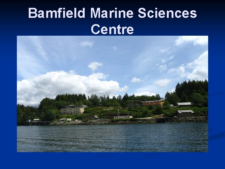 Bamfield Marine Sciences Centre 