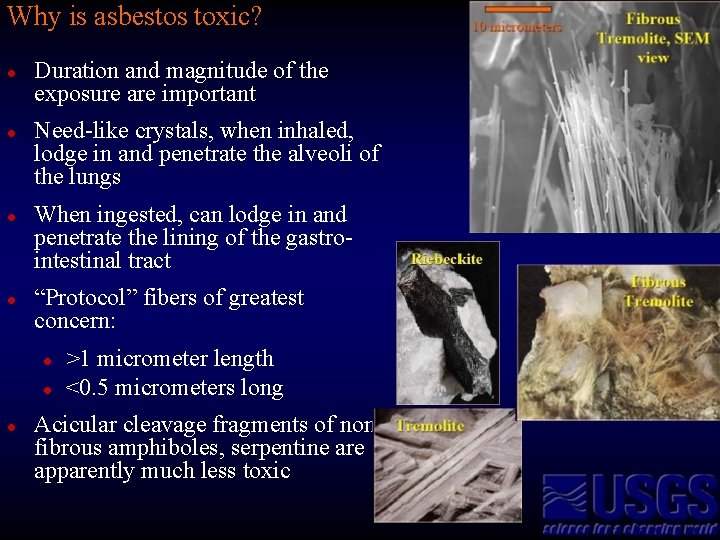 Why is asbestos toxic? l l Duration and magnitude of the exposure are important