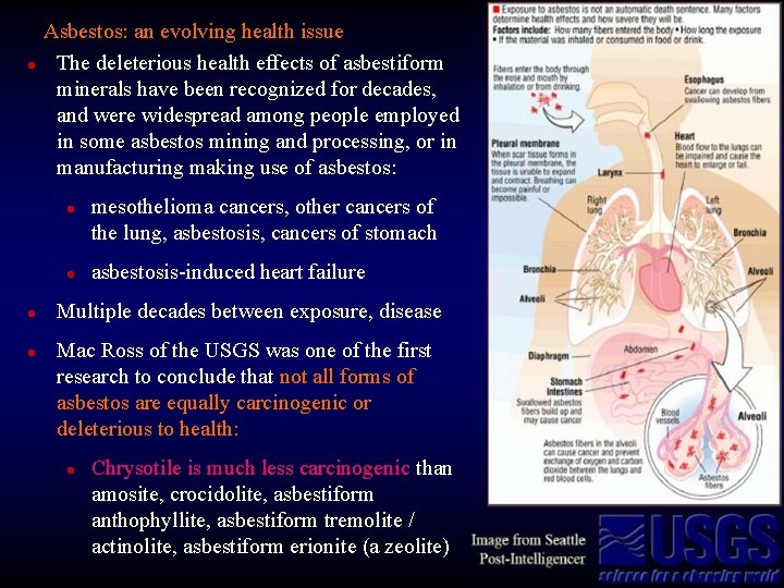 l Asbestos: an evolving health issue The deleterious health effects of asbestiform minerals have