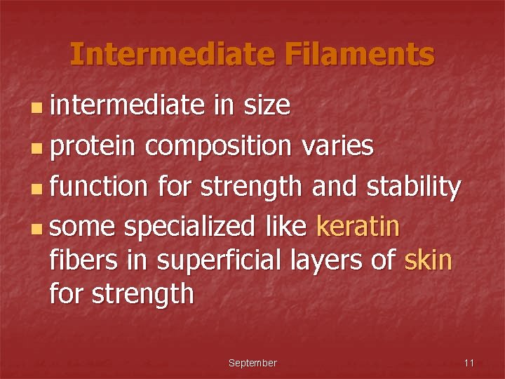 Intermediate Filaments n intermediate in size n protein composition varies n function for strength