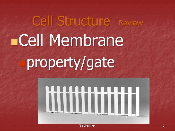 Cell Structure n. Cell Review Membrane nproperty/gate September 2 