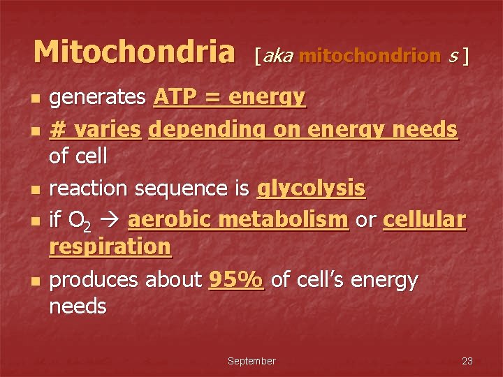 Mitochondria n n n [aka mitochondrion s ] generates ATP = energy # varies