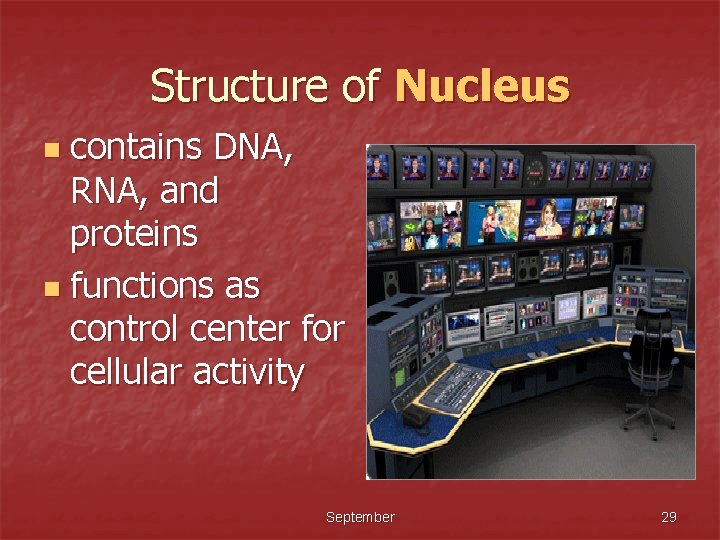 Structure of Nucleus contains DNA, RNA, and proteins n functions as control center for