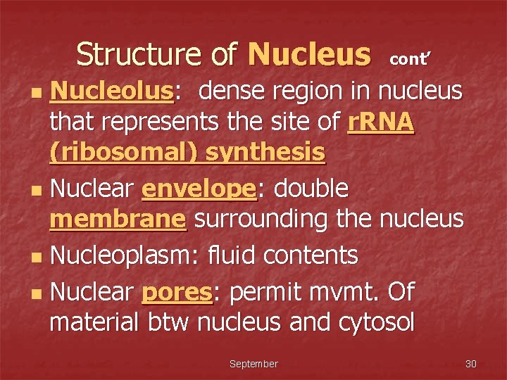 Structure of Nucleus cont’ Nucleolus: dense region in nucleus that represents the site of