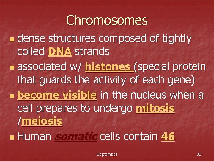 Chromosomes dense structures composed of tightly coiled DNA strands n associated w/ histones (special