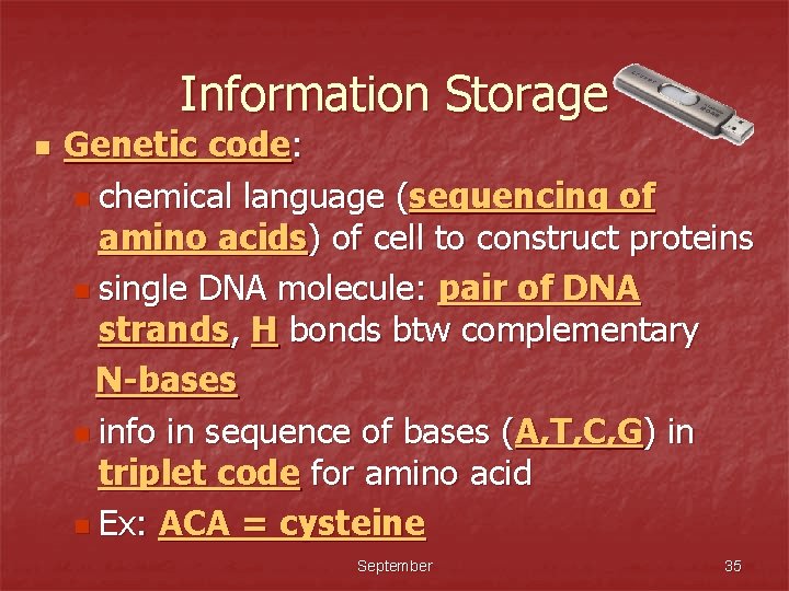 Information Storage n Genetic code: n chemical language (sequencing of amino acids) of cell