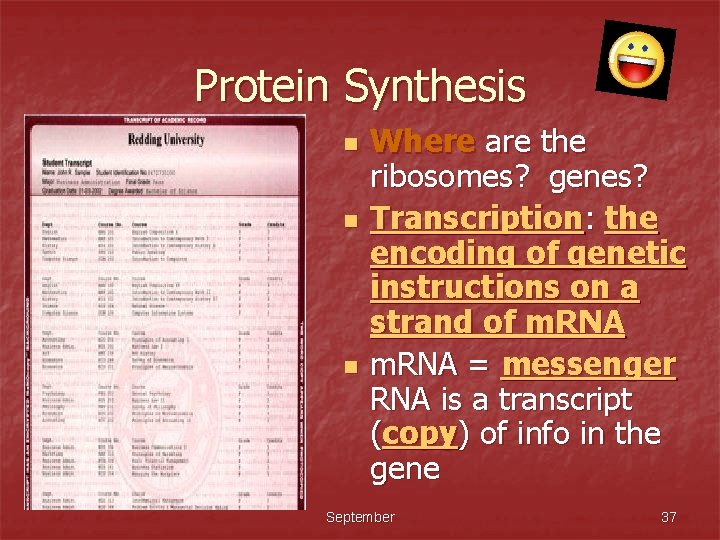 Protein Synthesis n n n Where are the ribosomes? genes? Transcription: the encoding of