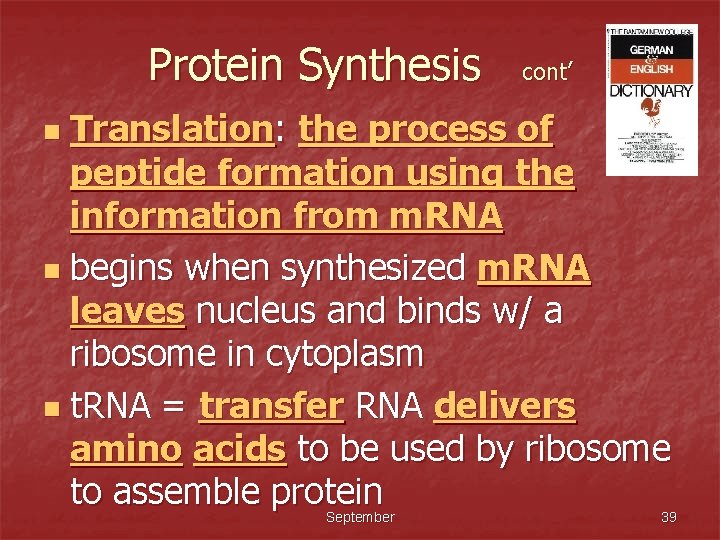 Protein Synthesis cont’ Translation: the process of peptide formation using the information from m.