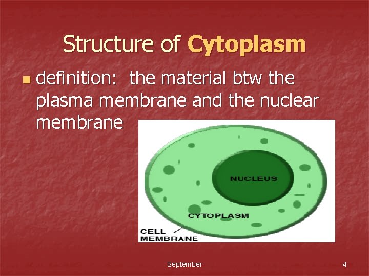 Structure of Cytoplasm n definition: the material btw the plasma membrane and the nuclear