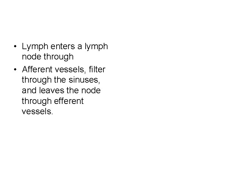  • Lymph enters a lymph node through • Afferent vessels, filter through the