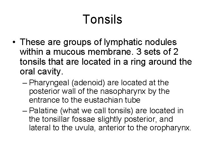 Tonsils • These are groups of lymphatic nodules within a mucous membrane. 3 sets