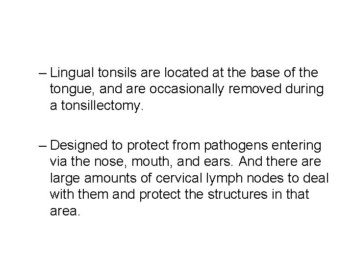 – Lingual tonsils are located at the base of the tongue, and are occasionally