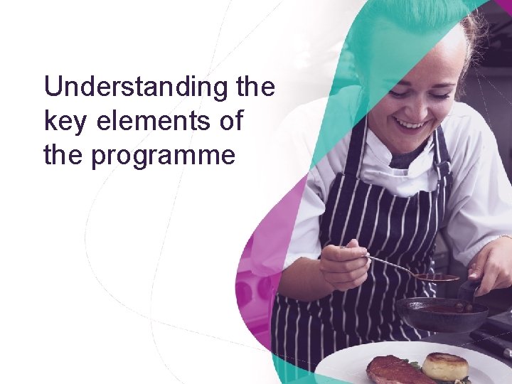 Understanding the key elements of the programme 