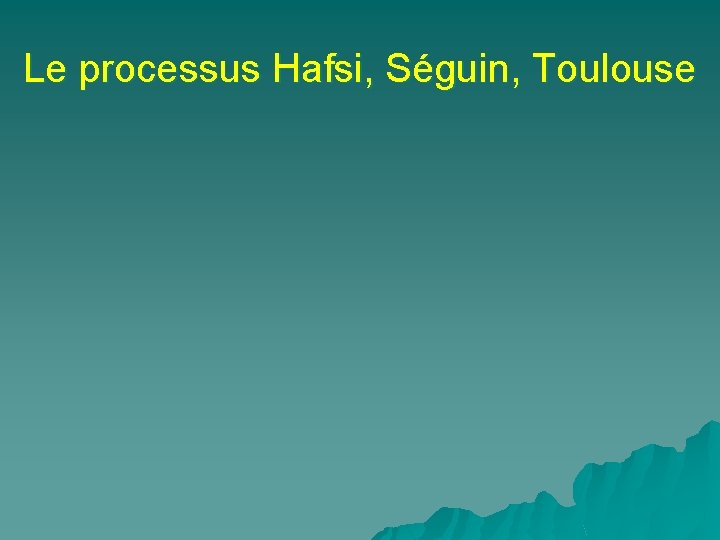 Le processus Hafsi, Séguin, Toulouse 