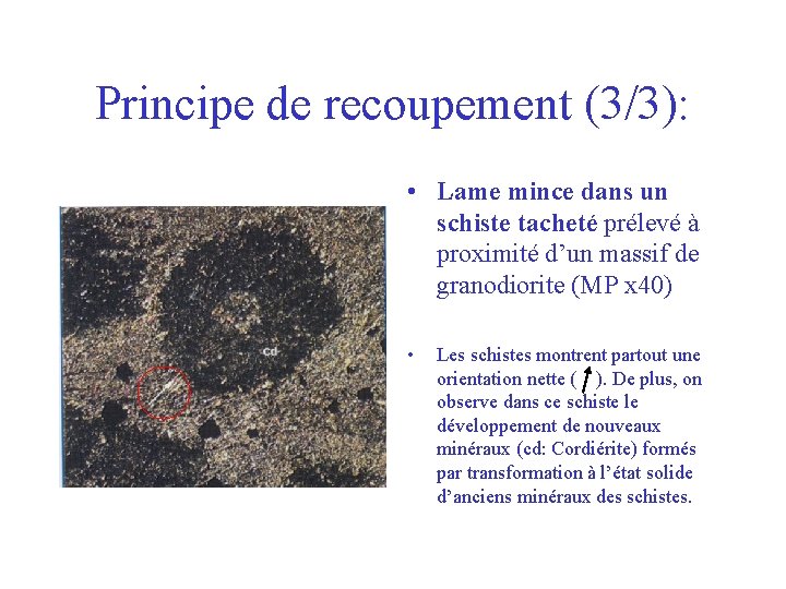 Principe de recoupement (3/3): • Lame mince dans un schiste tacheté prélevé à proximité