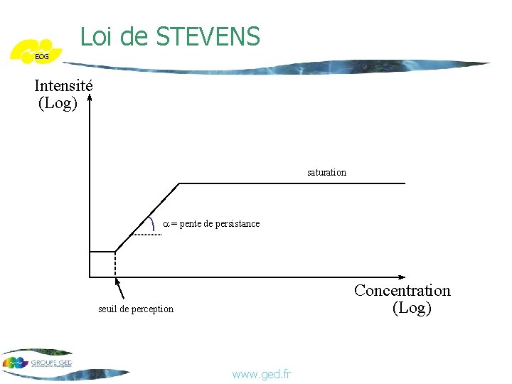 Loi de STEVENS EOG Intensité (Log) saturation a = pente de persistance Concentration (Log)