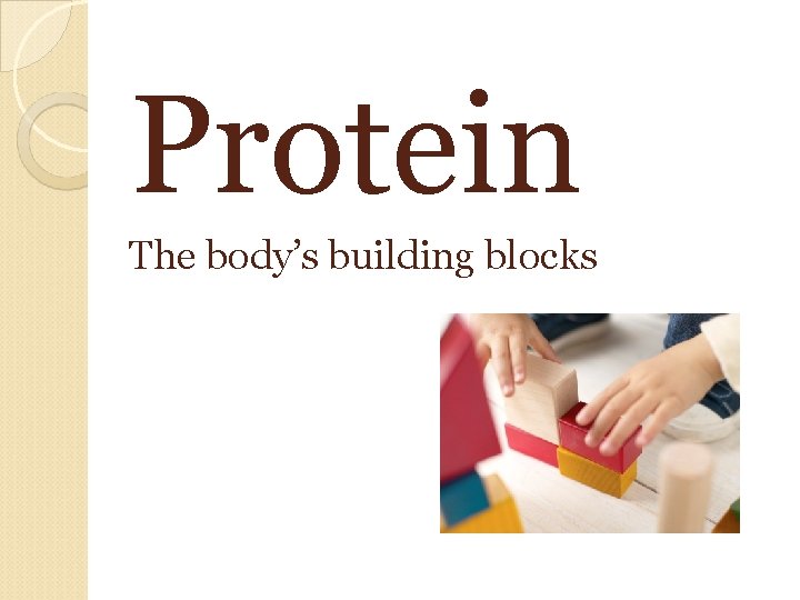 Protein The body’s building blocks 