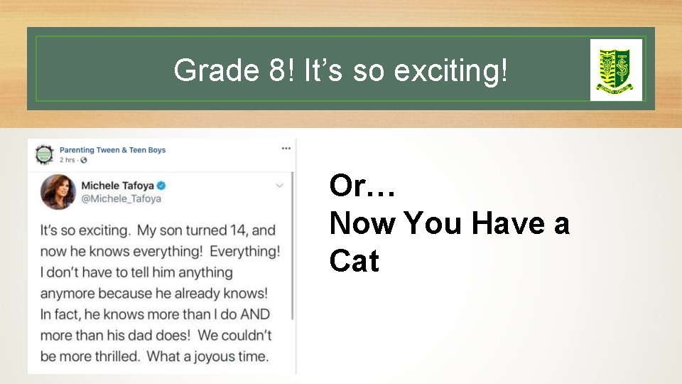 Grade 8! It’s so exciting! Or… Now You Have a Cat 