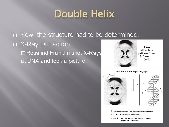 Double Helix � � Now, the structure had to be determined. X-Ray Diffraction �