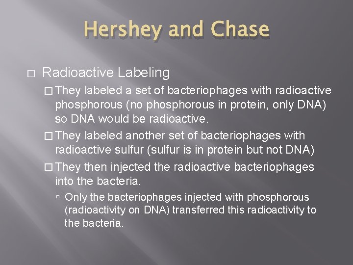 Hershey and Chase � Radioactive Labeling � They labeled a set of bacteriophages with