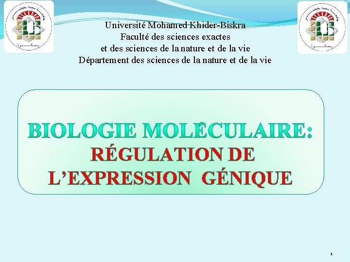 Université Mohamed Khider-Biskra Faculté des sciences exactes et des sciences de la nature et