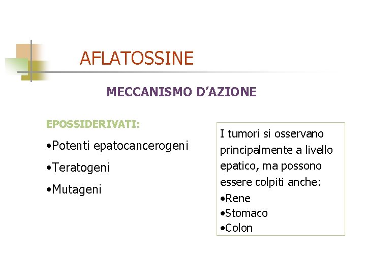 AFLATOSSINE MECCANISMO D’AZIONE EPOSSIDERIVATI: • Potenti epatocancerogeni • Teratogeni • Mutageni I tumori si