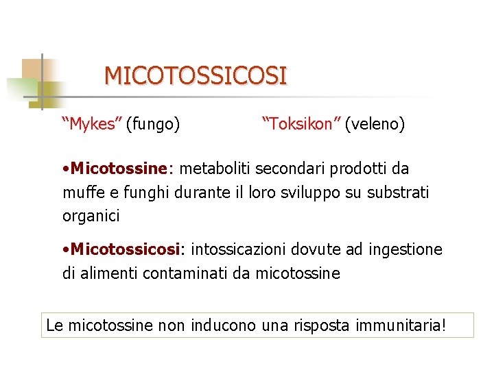 MICOTOSSICOSI “Mykes” (fungo) “Toksikon” (veleno) • Micotossine: metaboliti secondari prodotti da muffe e funghi