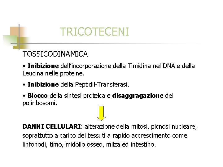 TRICOTECENI TOSSICODINAMICA • Inibizione dell’incorporazione della Timidina nel DNA e della Leucina nelle proteine.
