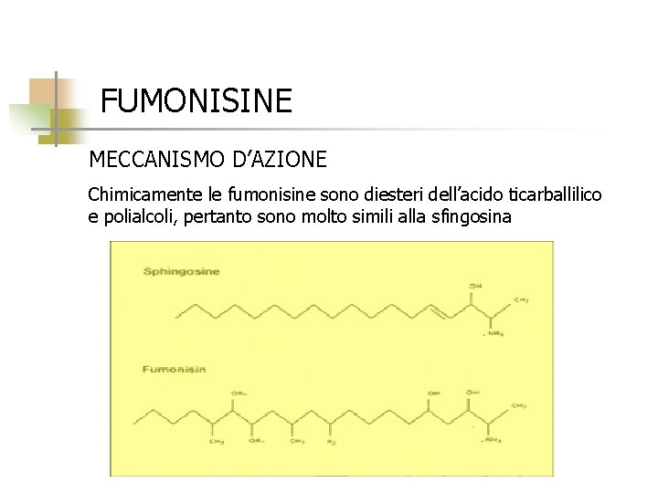 FUMONISINE MECCANISMO D’AZIONE Chimicamente le fumonisine sono diesteri dell’acido ticarballilico e polialcoli, pertanto sono