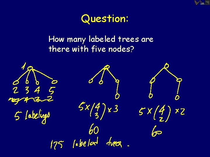Question: How many labeled trees are there with five nodes? 