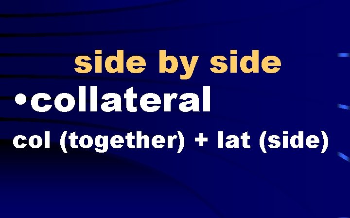 side by side • collateral col (together) + lat (side) 