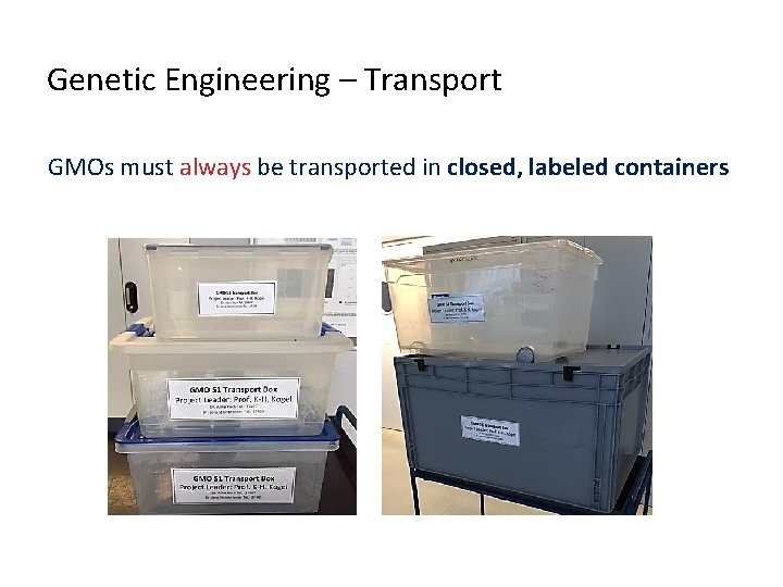 Genetic Engineering – Transport GMOs must always be transported in closed, labeled containers 