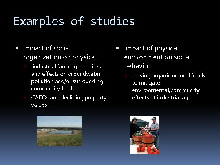 Examples of studies Impact of social organization on physical industrial farming practices and effects