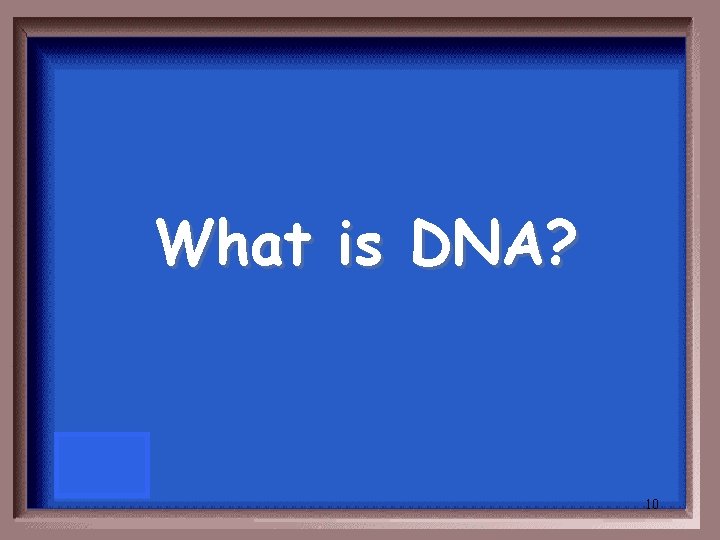 What is DNA? 10 