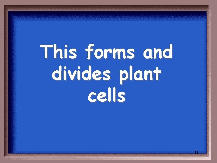 This forms and divides plant cells 11 