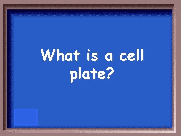 What is a cell plate? 12 