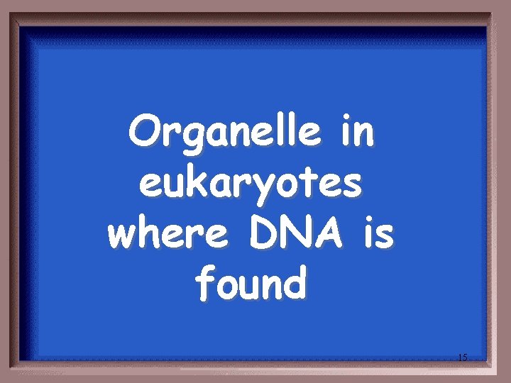 Organelle in eukaryotes where DNA is found 15 