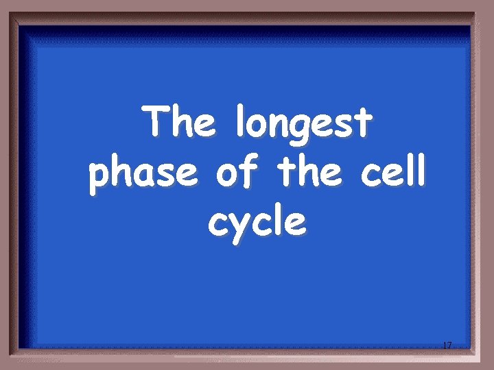 The longest phase of the cell cycle 17 