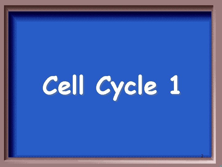 Cell Cycle 1 2 