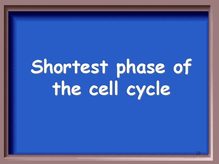 Shortest phase of the cell cycle 23 