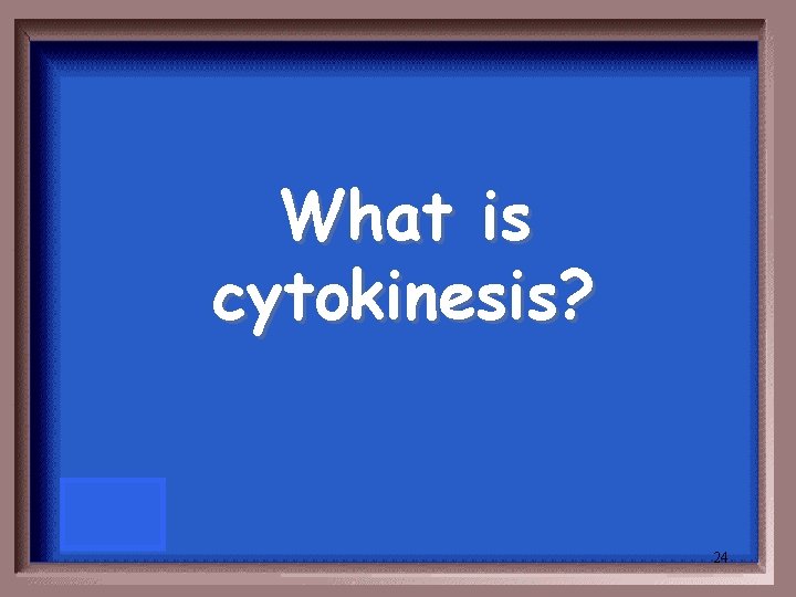 What is cytokinesis? 24 