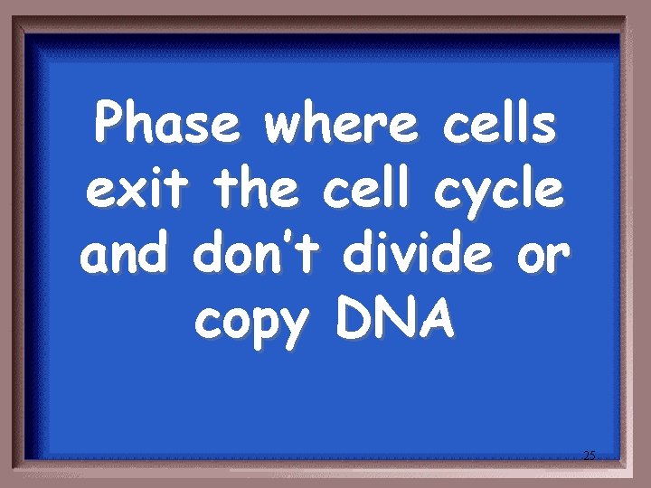 Phase where cells exit the cell cycle and don’t divide or copy DNA 25