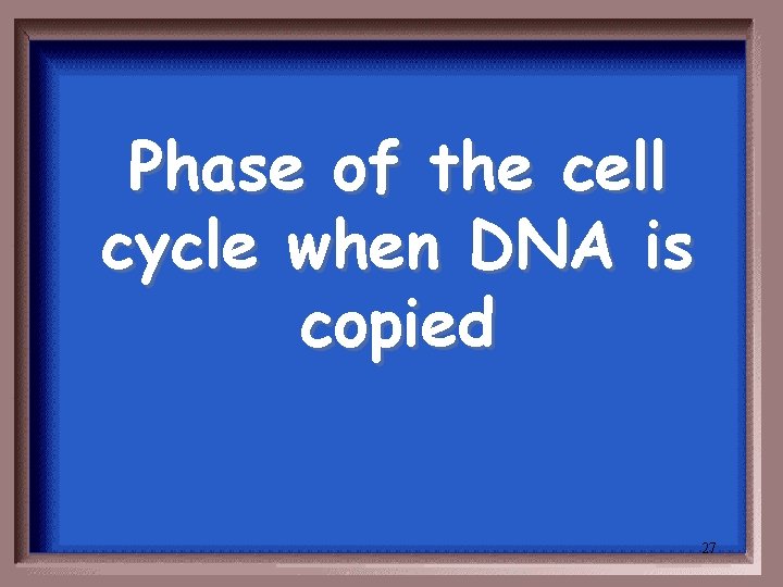 Phase of the cell cycle when DNA is copied 27 