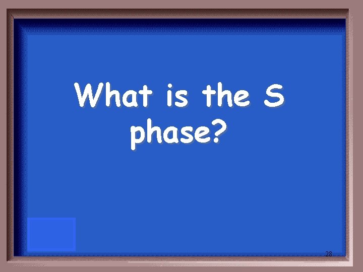 What is the S phase? 28 