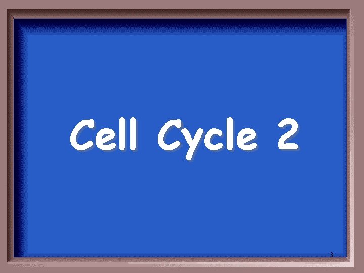 Cell Cycle 2 3 