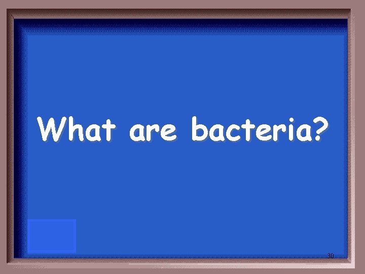 What are bacteria? 30 