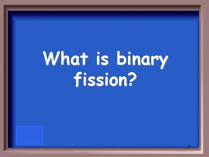 What is binary fission? 37 